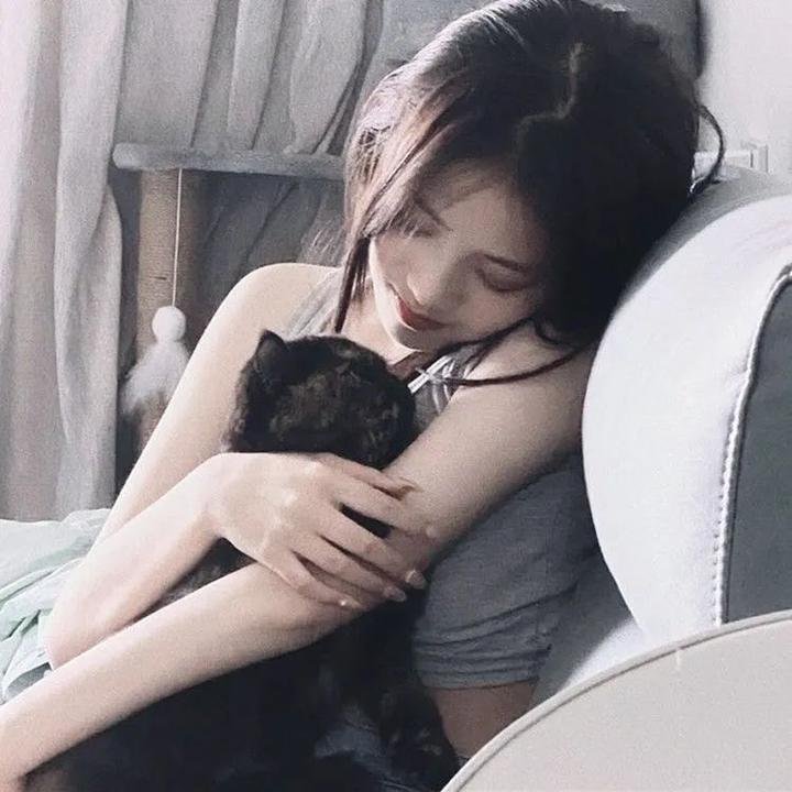 汤姆猫与杰利鼠：魔戒 焦点封面