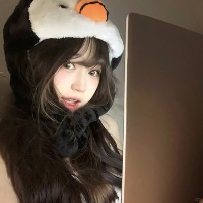 粉红火鹤的神秘凝视 封面